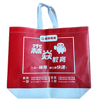 福建LB37培训班广告袋